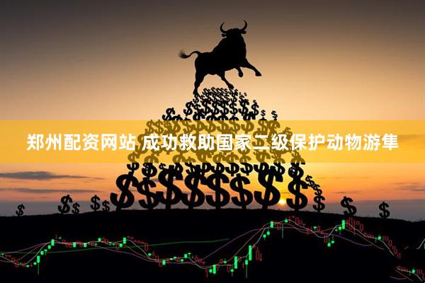 郑州配资网站 成功救助国家二级保护动物游隼