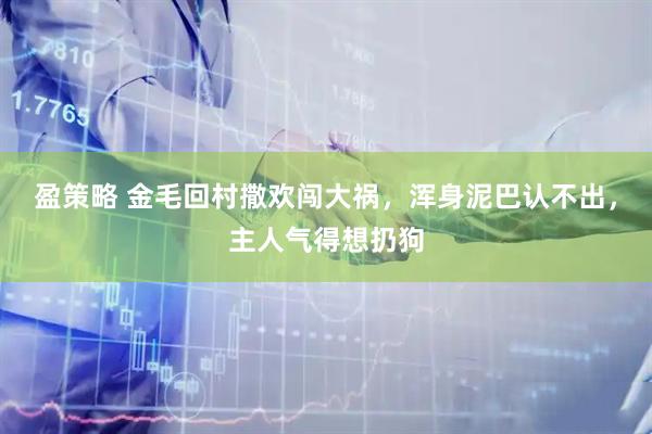 盈策略 金毛回村撒欢闯大祸，浑身泥巴认不出，主人气得想扔狗