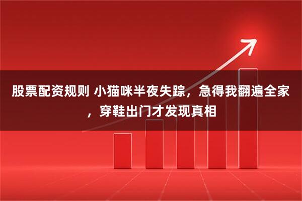 股票配资规则 小猫咪半夜失踪，急得我翻遍全家，穿鞋出门才发现真相