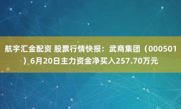 航宇汇金配资 股票行情快报：武商集团（000501）6月20日主力资金净买入257.70万元