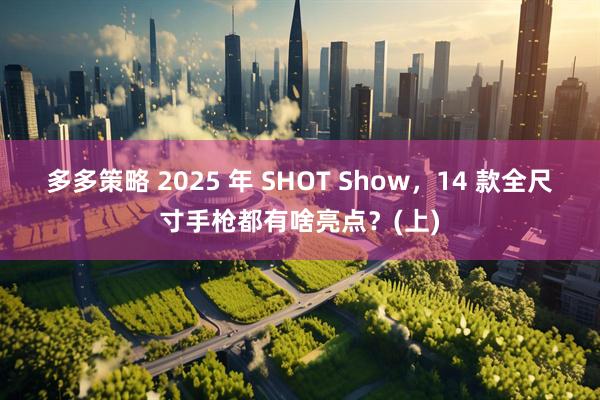 多多策略 2025 年 SHOT Show，14 款全尺寸手枪都有啥亮点？(上)