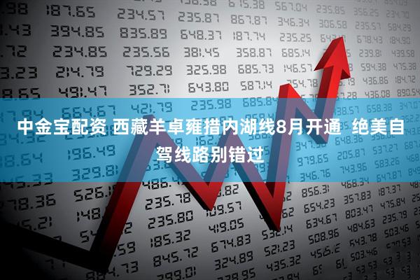 中金宝配资 西藏羊卓雍措内湖线8月开通  绝美自驾线路别错过