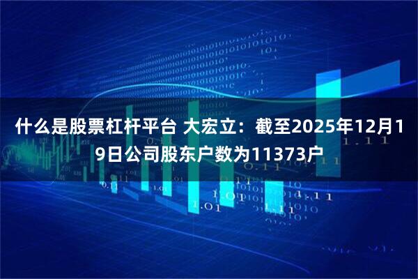 什么是股票杠杆平台 大宏立：截至2025年12月19日公司股东户数为11373户