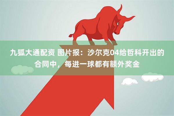 九狐大通配资 图片报：沙尔克04给哲科开出的合同中，每进一球都有额外奖金